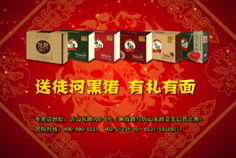 理性预期下的误识 塞勒惩罚策略研究总结