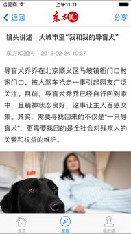 东方IC iPhone版下载与手机东方IC 2018 数字广告设计及代理新时代